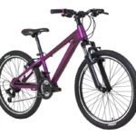 ΠΟΔΗΛΑΤΟ ΒΟΥΝΟΥ ΑΛΟΥΜΙΝΙΟΥ CARRERA M6 LADY PURPLE