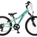 ORIENT SNAKE PRO 20 MTB PAIDIKO PODHLATO ME ANARTHSHI