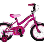 53A6256-ACTION-ORIENT-CANDY-FUX-1