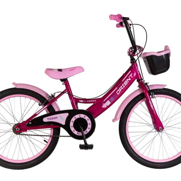 ORIENT TERRY 20'' KIDS BIKE